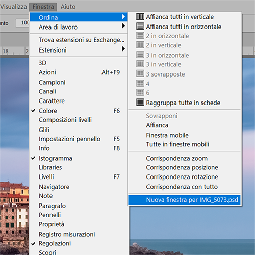 doppia visualizzazione photoshop
